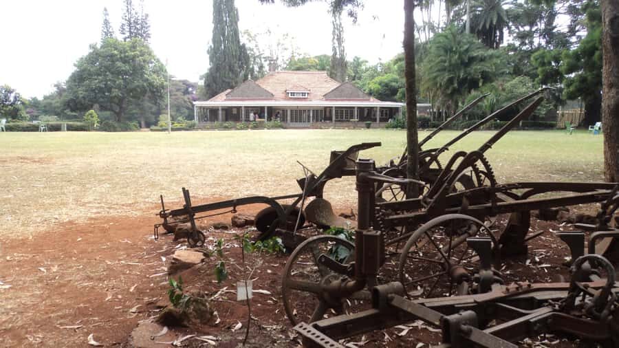 Giraffe Center and Karen Blixen Museum Tour from Nairobi - How the half-day schedule works (and how to not feel rushed)