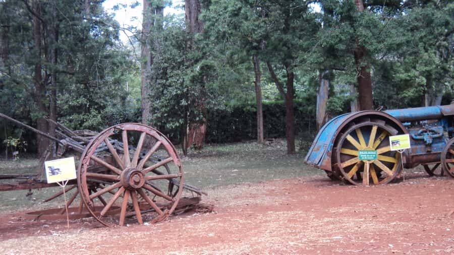 Giraffe Center and Karen Blixen Museum Tour from Nairobi - What you actually get for the price: $99 that buys access and guidance