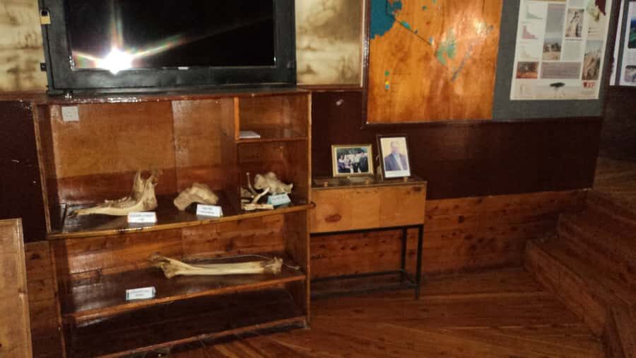 Giraffe Center and Karen Blixen Museum Tour from Nairobi - FAQ