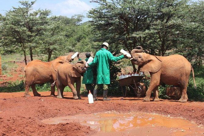 Giraffe center, Elephant Orphanage and Beads Center - Stop 3: Kazuri/Kobe Beads Factory and the single-mother craft mission
