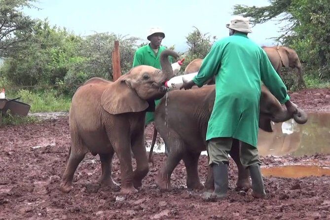 Giraffe center, Elephant Orphanage and Beads Center - Time breakdown: does it feel rushed?