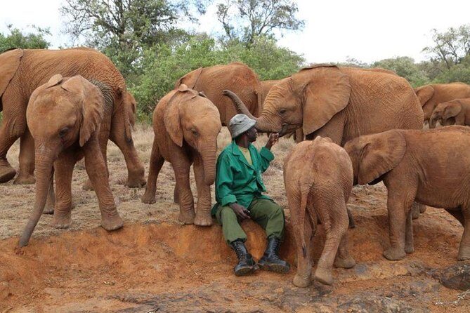 Giraffe Center, Elephant Orphanage, Beads Center & Bomas of Kenya Tour Nairobi - Bomas of Kenya: dances, theatre, fashion, and comedy