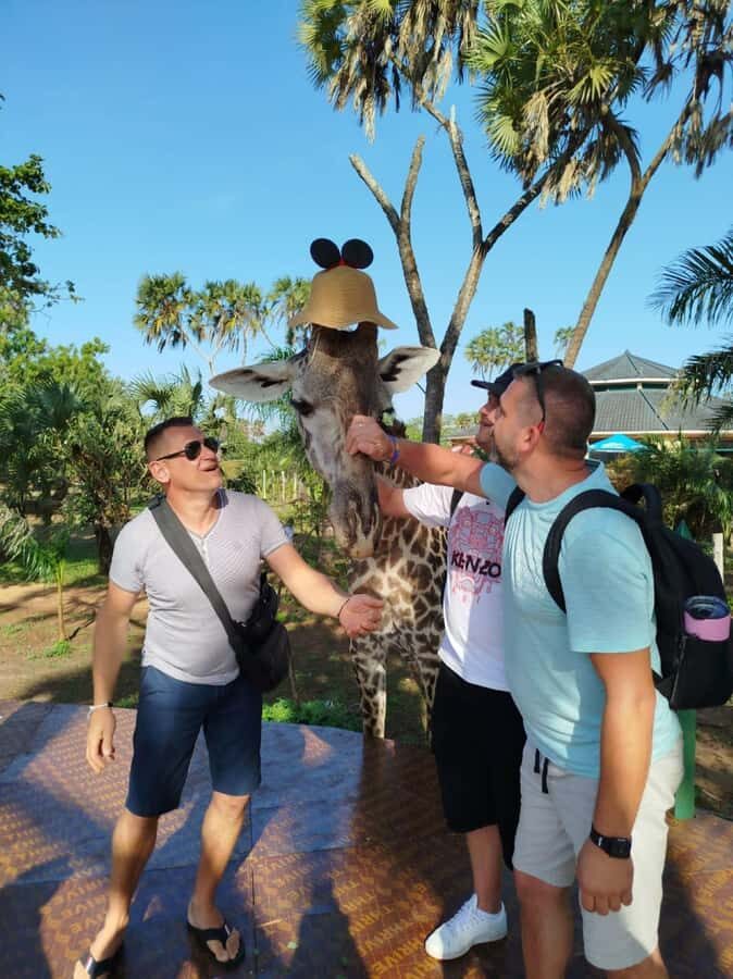 giraffe feeding - Giraffe feeding at Bora Bora Wildlife Sanctuary (the 31-acre setup)