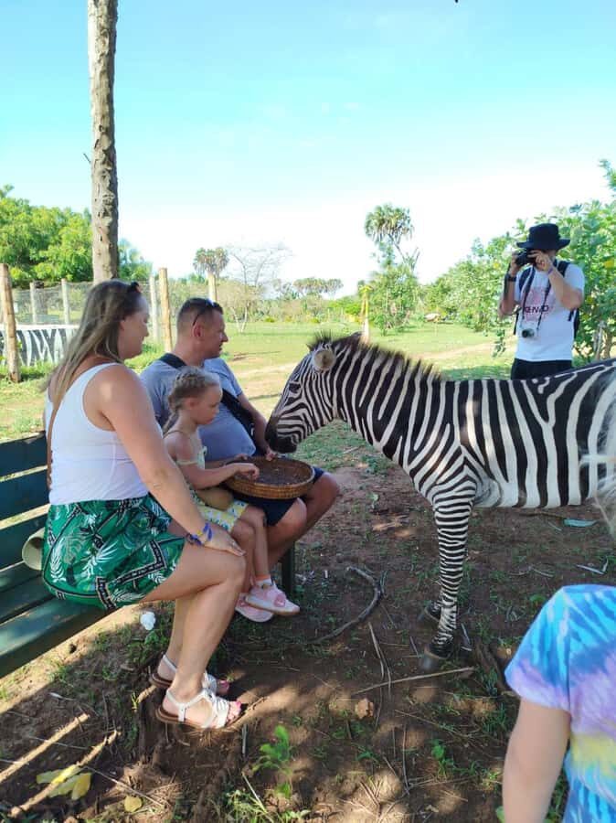 giraffe feeding - What’s included versus not included (so you don’t get surprised)