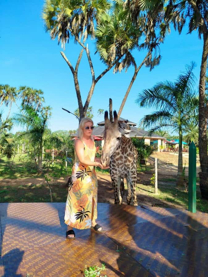 giraffe feeding - From Diani Beach to the sanctuary: what the timing really looks like