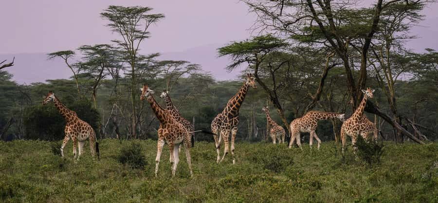 Group joining day trip to Lake Nakuru from Nairobi - Waterfall views and viewpoints that make the day feel complete