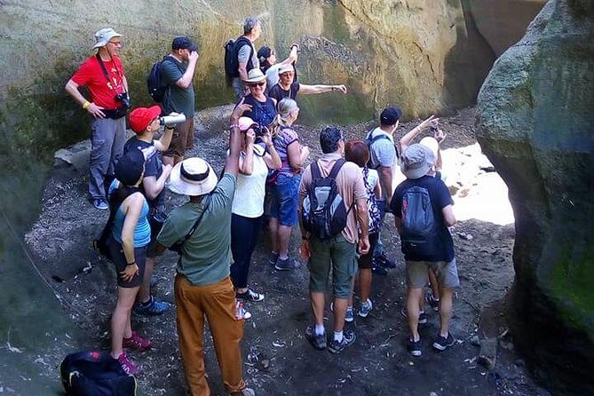 Guided Day Tour Safari of Parks Lake Naivasha and Hells Gate - Guides and Drivers: The Small Details That Make It Feel Well Run