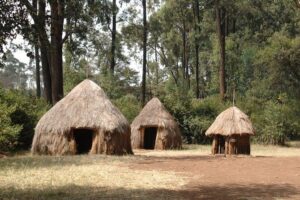 Half-Day Cultural Tour to Bomas of Kenya in Nairobi - The 1pm–About-5pm Flow: What You’ll Actually Experience