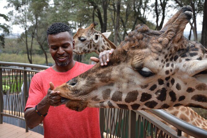 Half-Day Nairobi National Park and Maasai Market with Pick up - Group size and vehicle details: comfort and attention