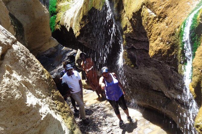 Hells Gate National Park Day Trip - Inside Hell’s Gate: walking, cycling, or driving with animals