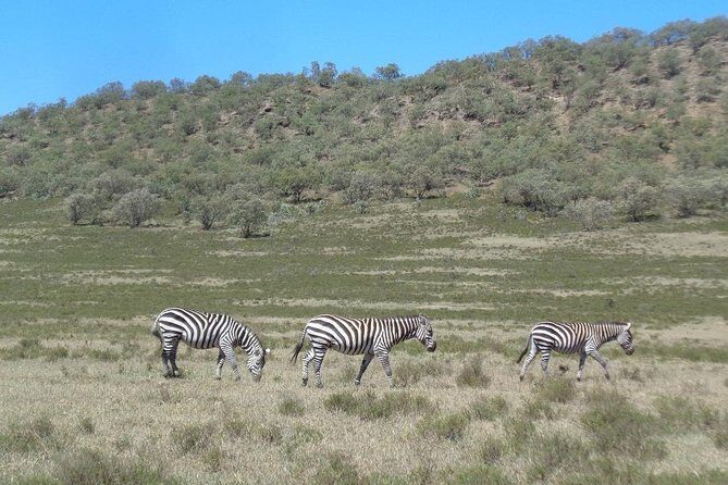 Hells Gate National Park Day Trip - Crescent Island time on Lake Naivasha: add-on or built-in?