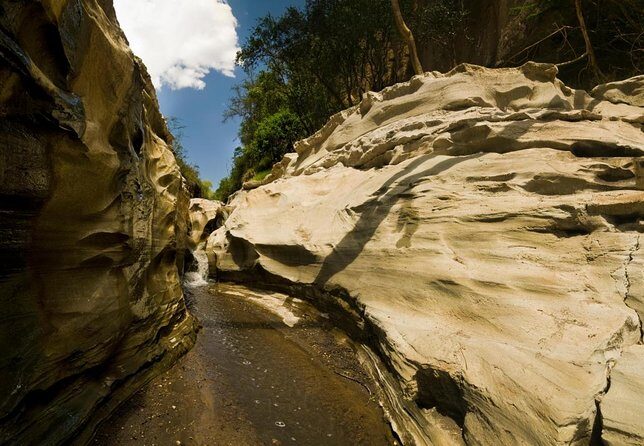 Hell's Gate National Park Private Bike Tour from Nairobi - Quick hits you’ll care about