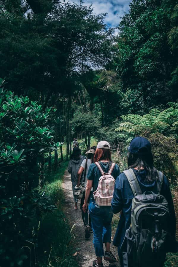 Hike in The Karura Forest - Key highlights worth your time