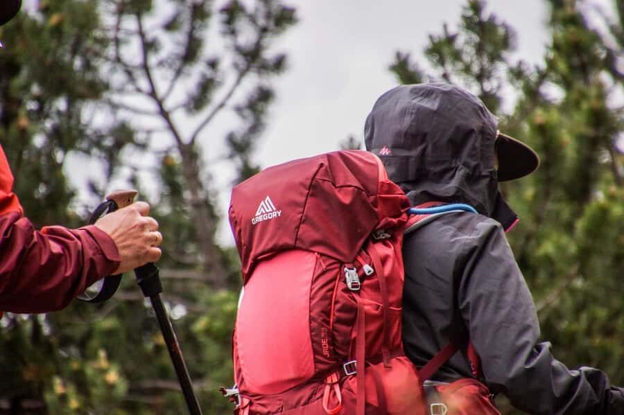 Hike in The Karura Forest - Karura Forest: a real escape from Nairobi’s streets