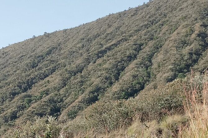 Hiking Trip to Mount Longonot National Park & Lake Naivasha - Timing, heat, and how to prepare so the day stays fun