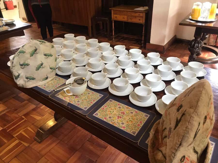 Kaimbethu tea farm tour and lunch package - The Ngong Hills Views (and When Kilimanjaro Shows Up)