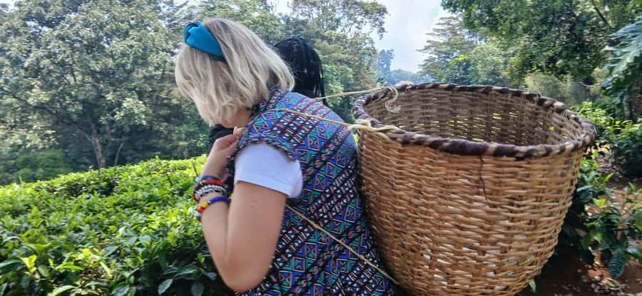 Kaimbethu tea farm tour and lunch package - Price and Value: Budgeting for the $50 Entrance Fee