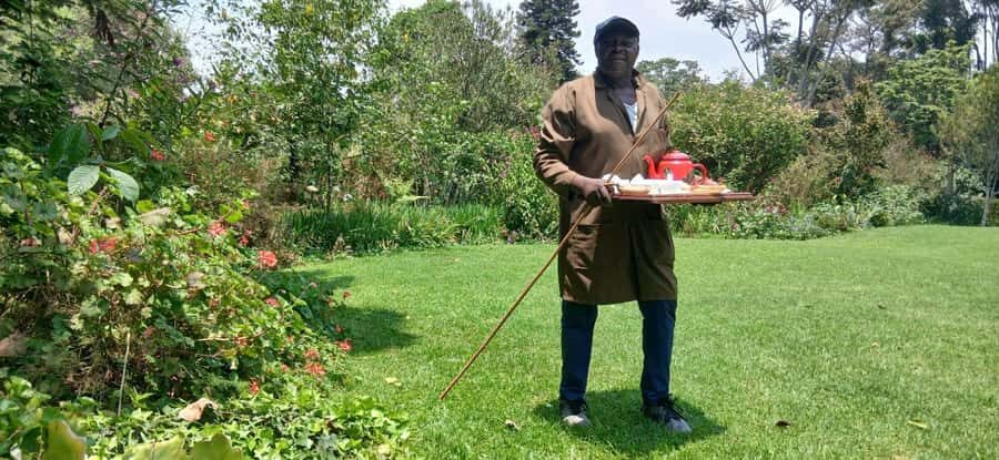 Kaimbethu tea farm tour and lunch package - Who This Tour Suits Best (and Who Might Want Something Else)