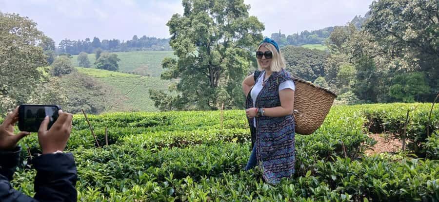 Kaimbethu tea farm tour and lunch package - FAQ