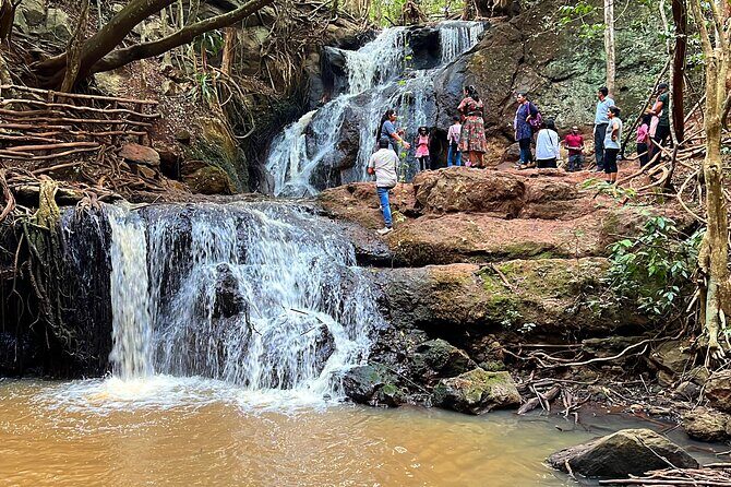 Karura Forest Nature Trail - Key highlights at Karura Forest