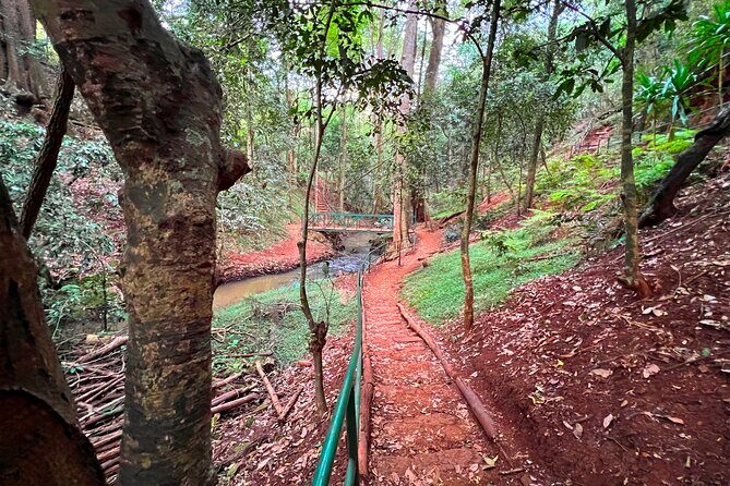 Karura Forest Nature Trail - Other things to do around Karura (without changing your main plan)