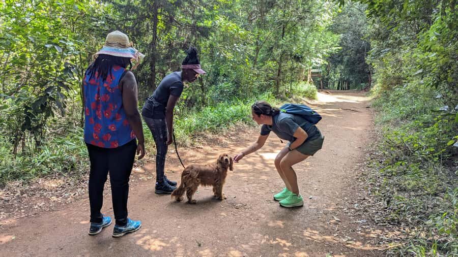 Karura Forest: Walking tour with Nature and Waterfalls. - First steps at Karura Forest Gate C