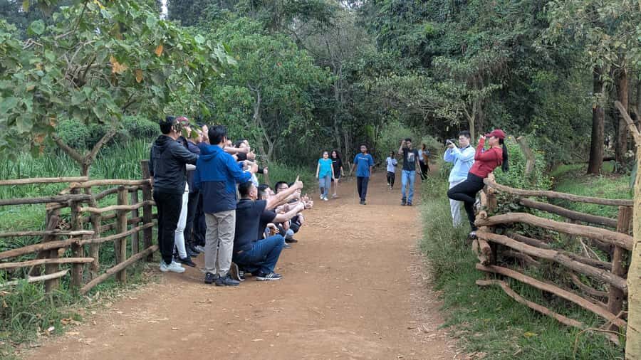 Karura Forest: Walking tour with Nature and Waterfalls. - The second half of the walk: scenic, steady, and doable