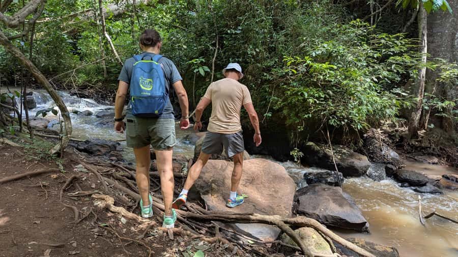 Karura Forest: Walking tour with Nature and Waterfalls. - Price and value: what you’re really paying for