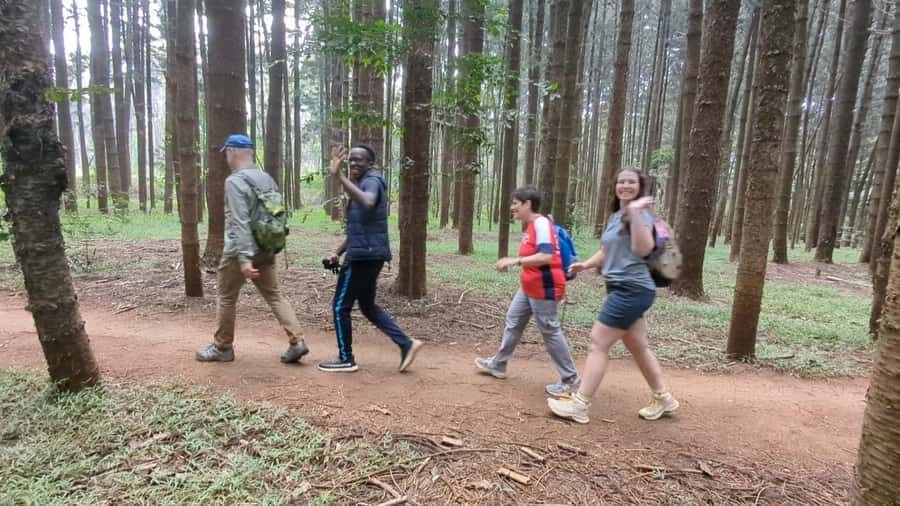 Karura Forest: Walking tour with Nature and Waterfalls. - The trail walk: photos, forest smells, and monkey behavior