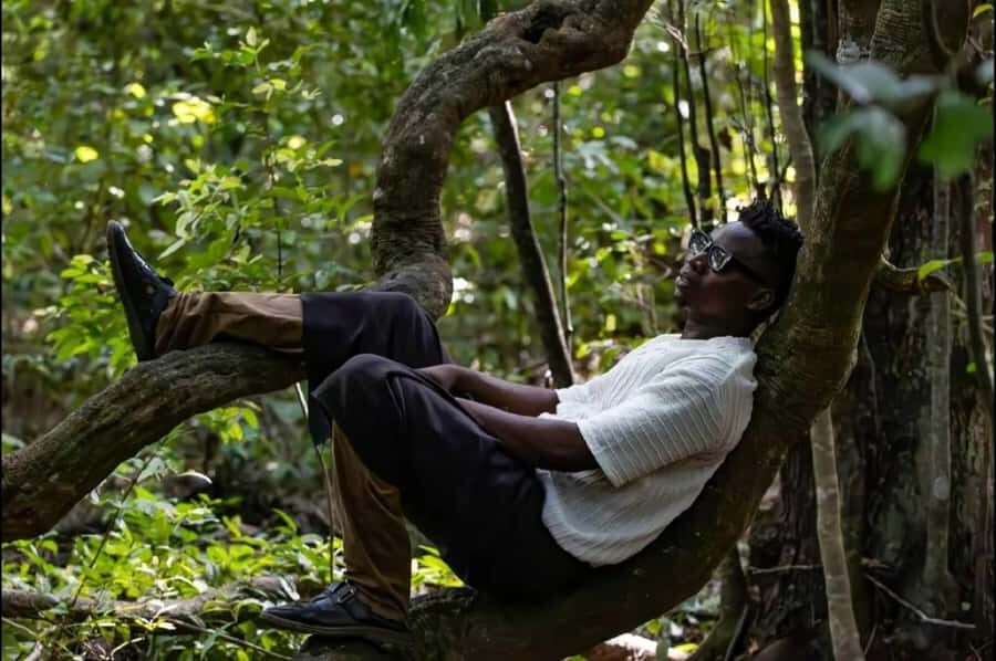 Kaya Kinondo Sacred Forest Guided Tour - Kaya Kinondo: why a forest can feel sacred