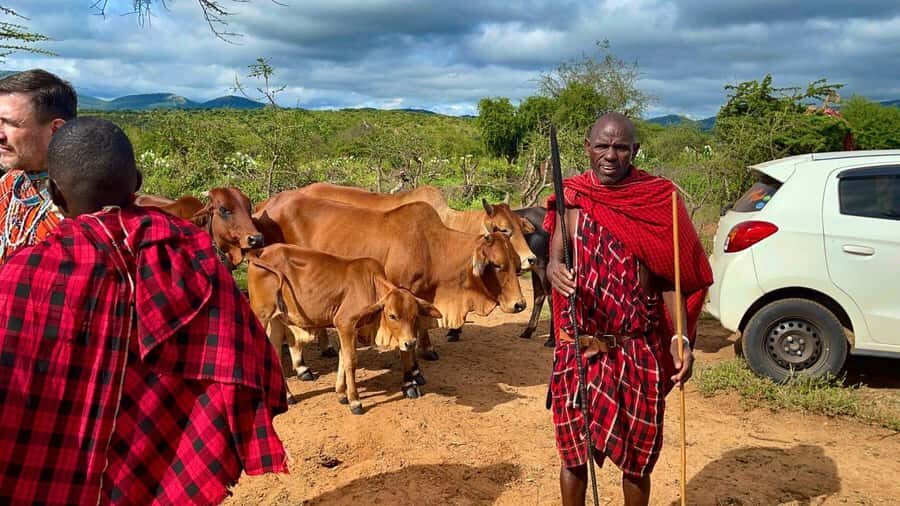 Kenya: Maasai Village Visit with Traditional Dance Show - Should you book this Maasai village visit?