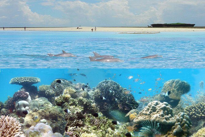 Kisite Marine Park Private Boat Snorkeling with breakfast & Lunch - Key Things I’d Focus On