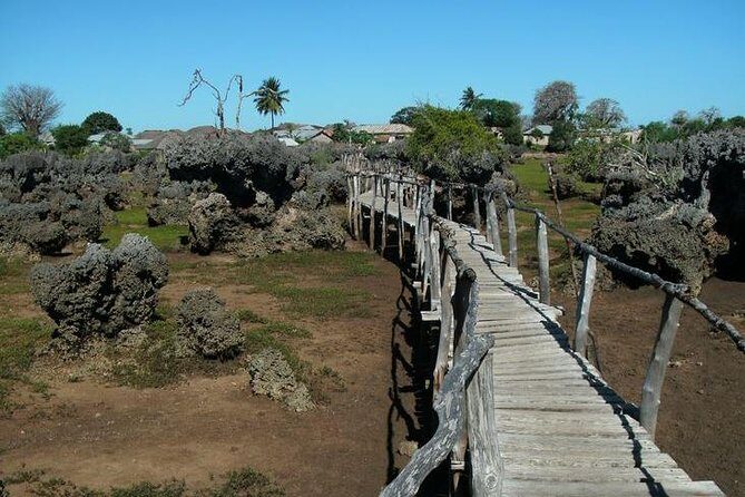 Kisite Marine Park Private Boat Snorkeling with breakfast & Lunch - The Malindi–Shimoni Transfer: Why the Timing Works