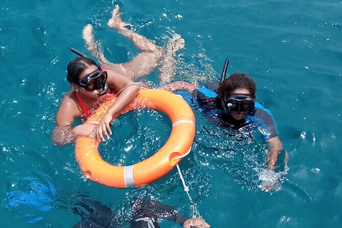 Kisite Mpunguti Day Trip. A day of Oceanic Wonders - Group Size and the Real-World Experience
