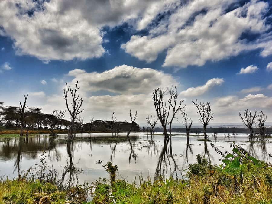 Lake Naivasha: Crescent Island Game Sanctuary - Birdwatching and photography: how to make the most of short windows