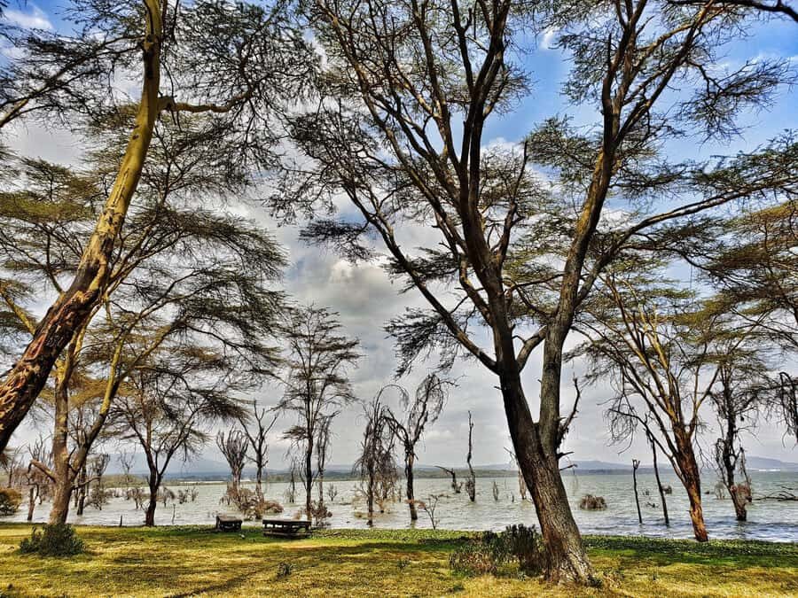 Lake Naivasha: Crescent Island Game Sanctuary - FAQ