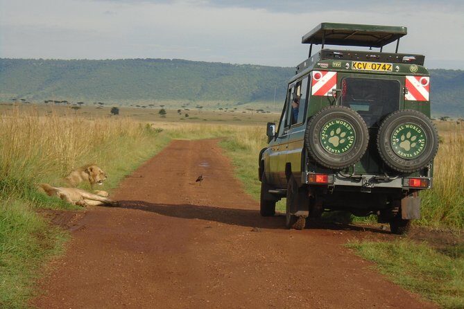 Lake Nakuru, Naivasha & Masai Mara 4 Days Private Jeep Safari - Day 1: Nairobi to Lake Naivasha for Boat Time, Then Crescent Island Walking