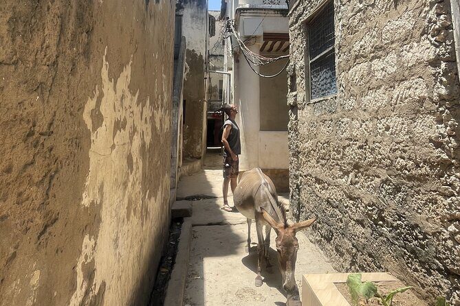 Lamu Old Town Walking Tour - English guide who connects details to your questions