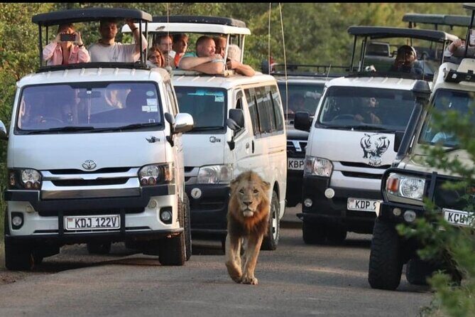 Maasai Mara Day Trip From Nairobi - A sunrise safari run from Nairobi to Maasai Mara