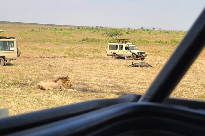 Maasai Mara Day Trip From Nairobi - Small group safari feel: max 12 travelers, better focus