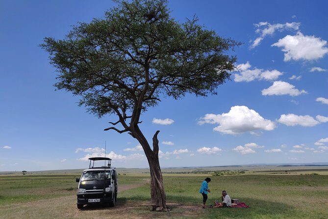 Maasai Mara Safari!! - Tony as Your Guide: Why This Experience Feels Personal
