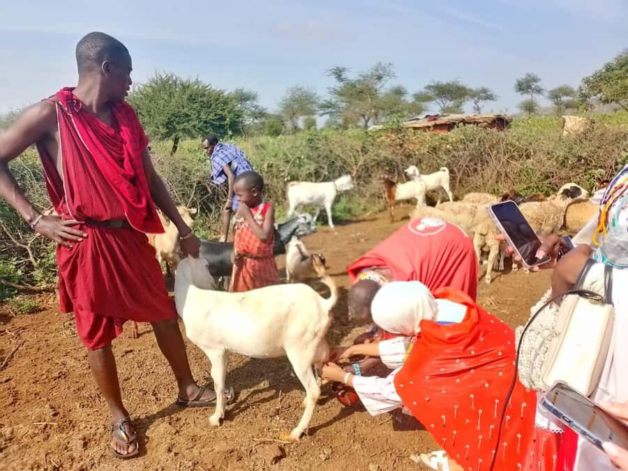 Maasai Village: Cultural Experience of The Maasai Tradition - Key points you’ll care about