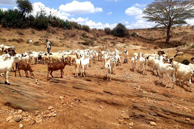 Maasai Village Experience Day Tour - Kitengela Mall and a primary school stop: breaks plus giving back