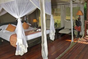 Masai Mara 3 Days Luxury Tented Safari - Day 2: Morning Game Drive, Pool Breaks, and Your Best Shot at the Big Five
