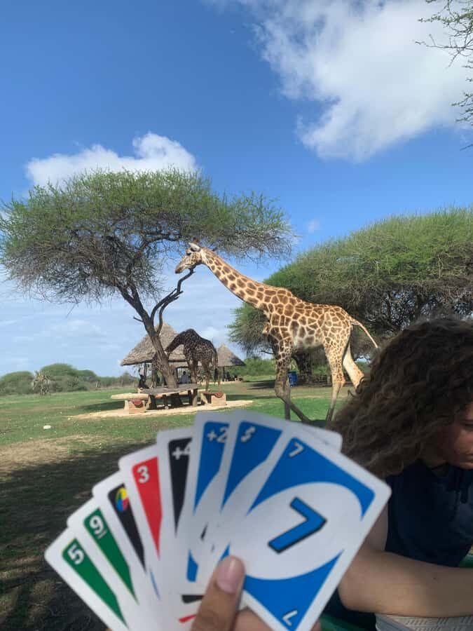 Mombasa: Guided Nature Walk Amongst Giraffes - Wildlife You’ll Spot Up Close (and How to See It Better)