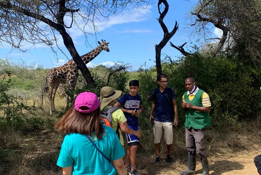 Mombasa: Guided Nature Walk Amongst Giraffes - Price and Value: Is $38 a Good Deal Here?