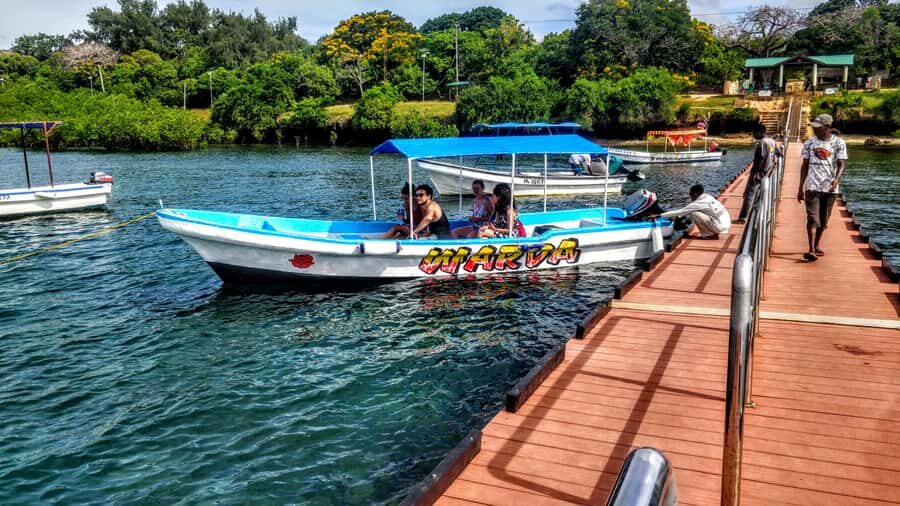 Mombasa: Kisite Park Private Cruise with Breakfast and Lunch - Picking Up in Mombasa or Diani: Logistics That Affect Your Comfort