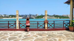 Mombasa: Private City Tour with Fort Jesus & Haller Park - Elephant Tusks and Mama Ngina Drive: The Easy Win for First-Time Context