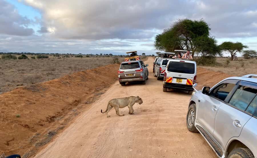 Mombasa: Tsavo East Ngutuni Sanctuary Overnight Safari - Ngutuni Sanctuary: why this 2-day loop works from Mombasa