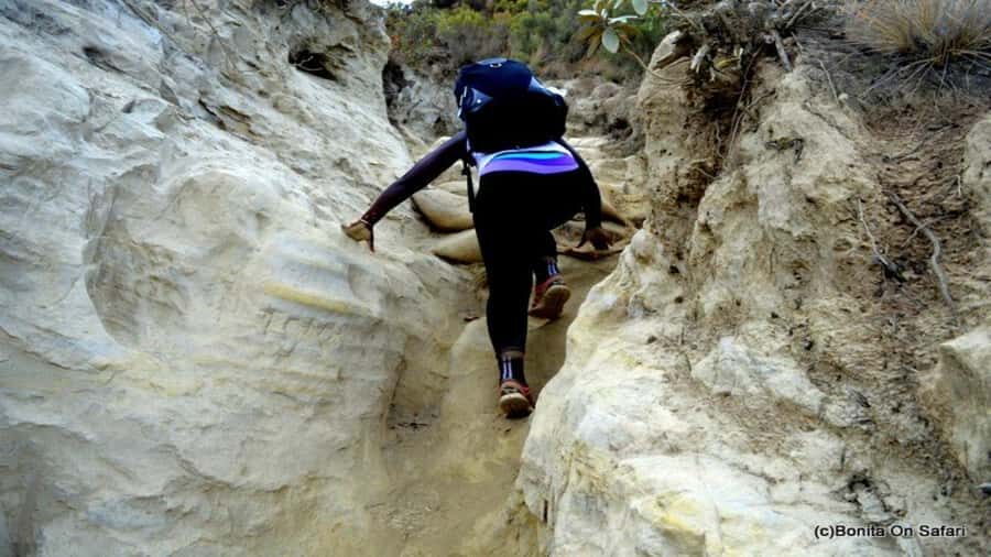 Mt Longonot National park Day Hike - Expert guides and drivers: names you might see and why it matters